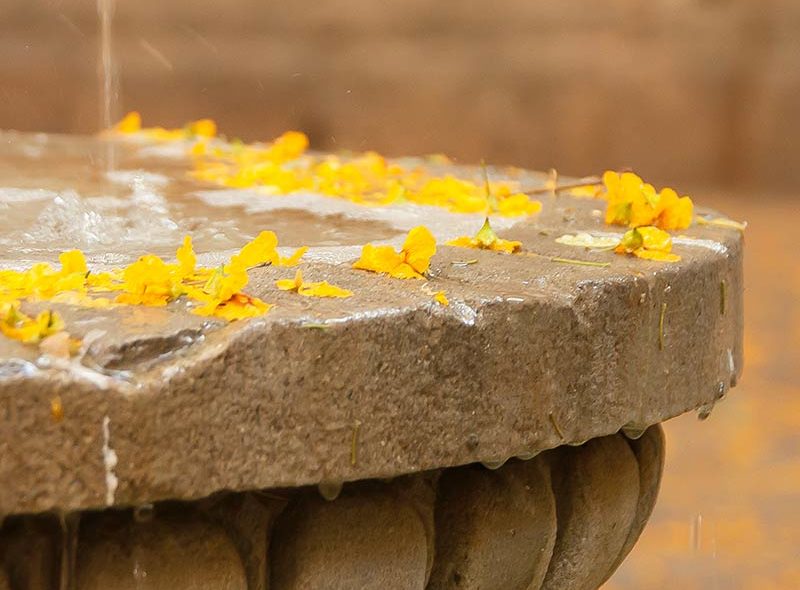 fountain2(web)